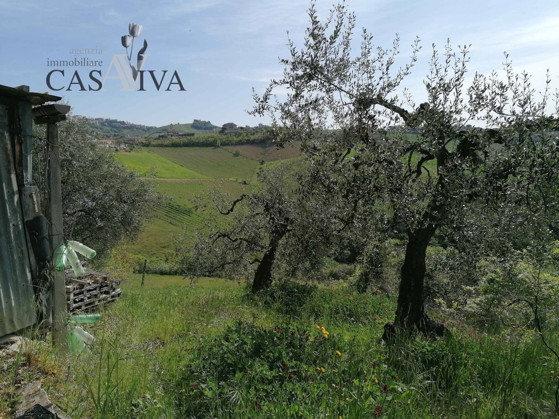 immagine annuncio 9 di 15