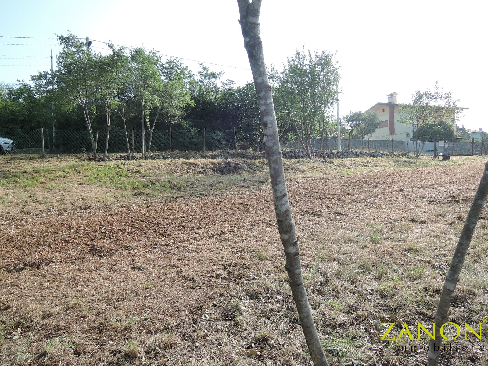 immagine annuncio 1 di 6