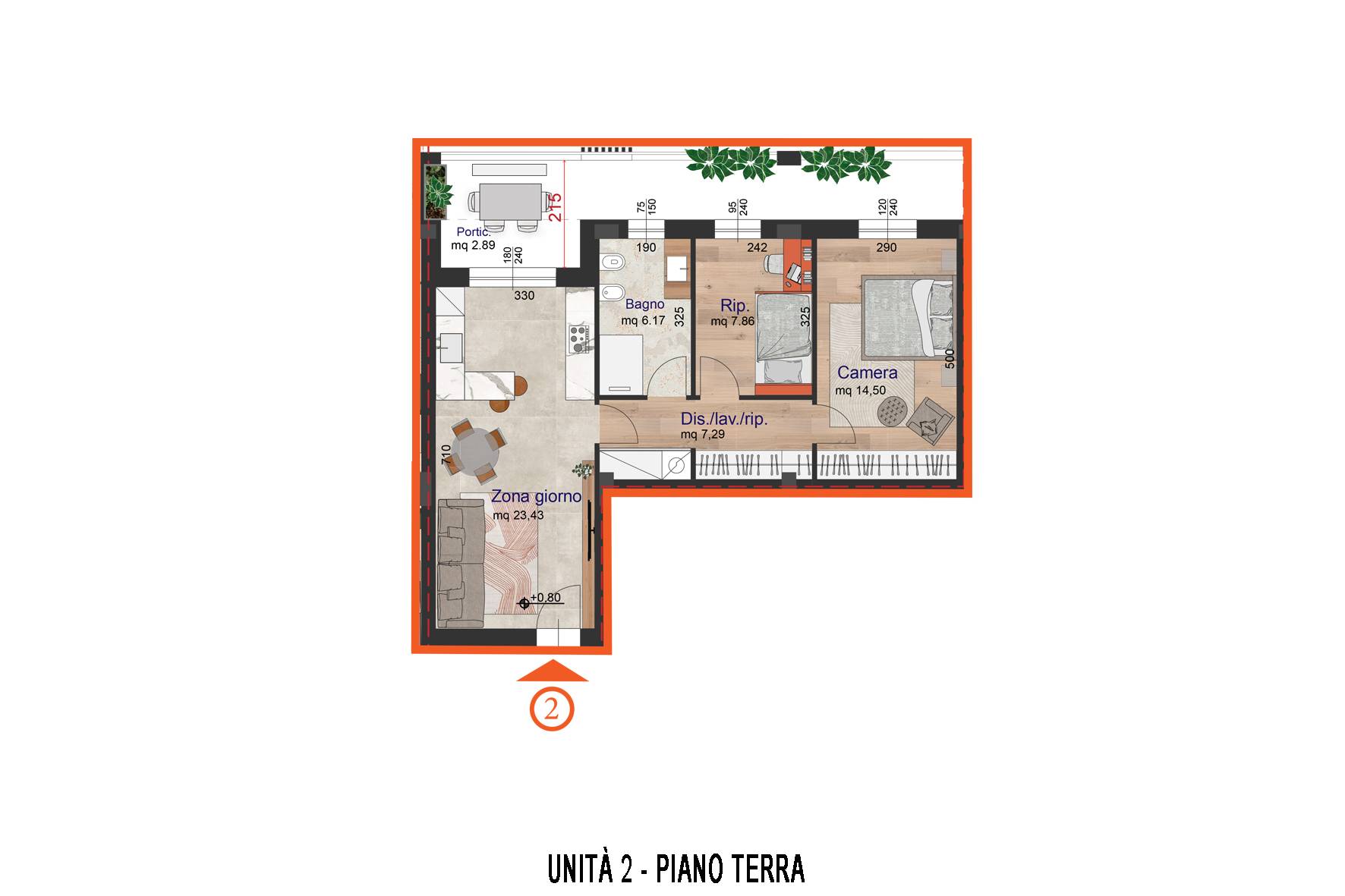 immagine annuncio 12 di 14