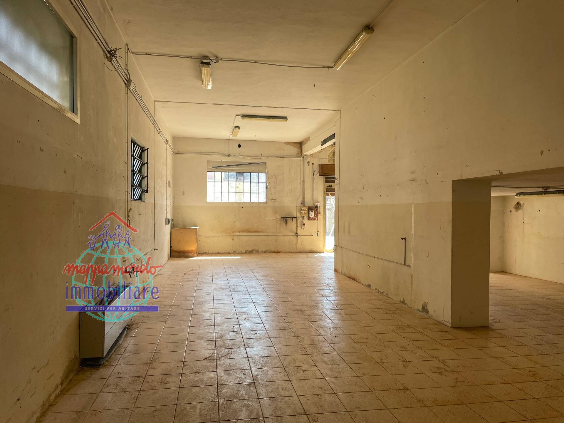 immagine annuncio 8 di 14