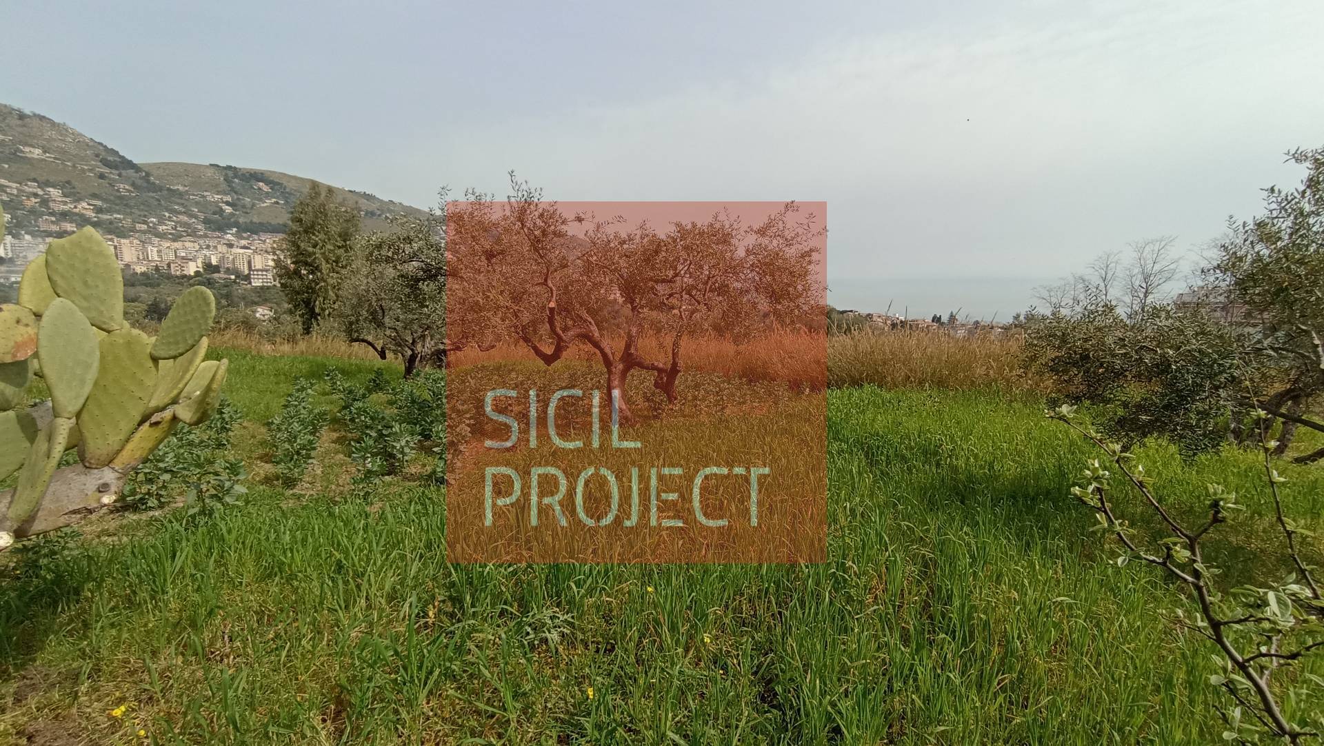 casa indipendente in vendita a Monreale