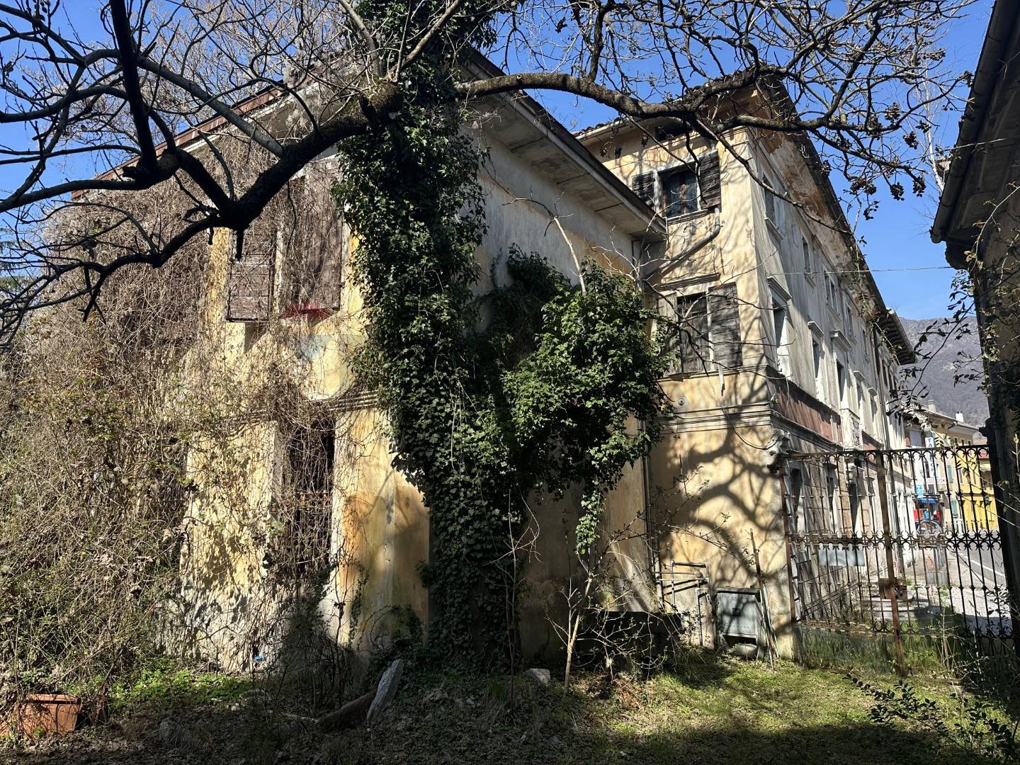 immagine annuncio 4 di 15