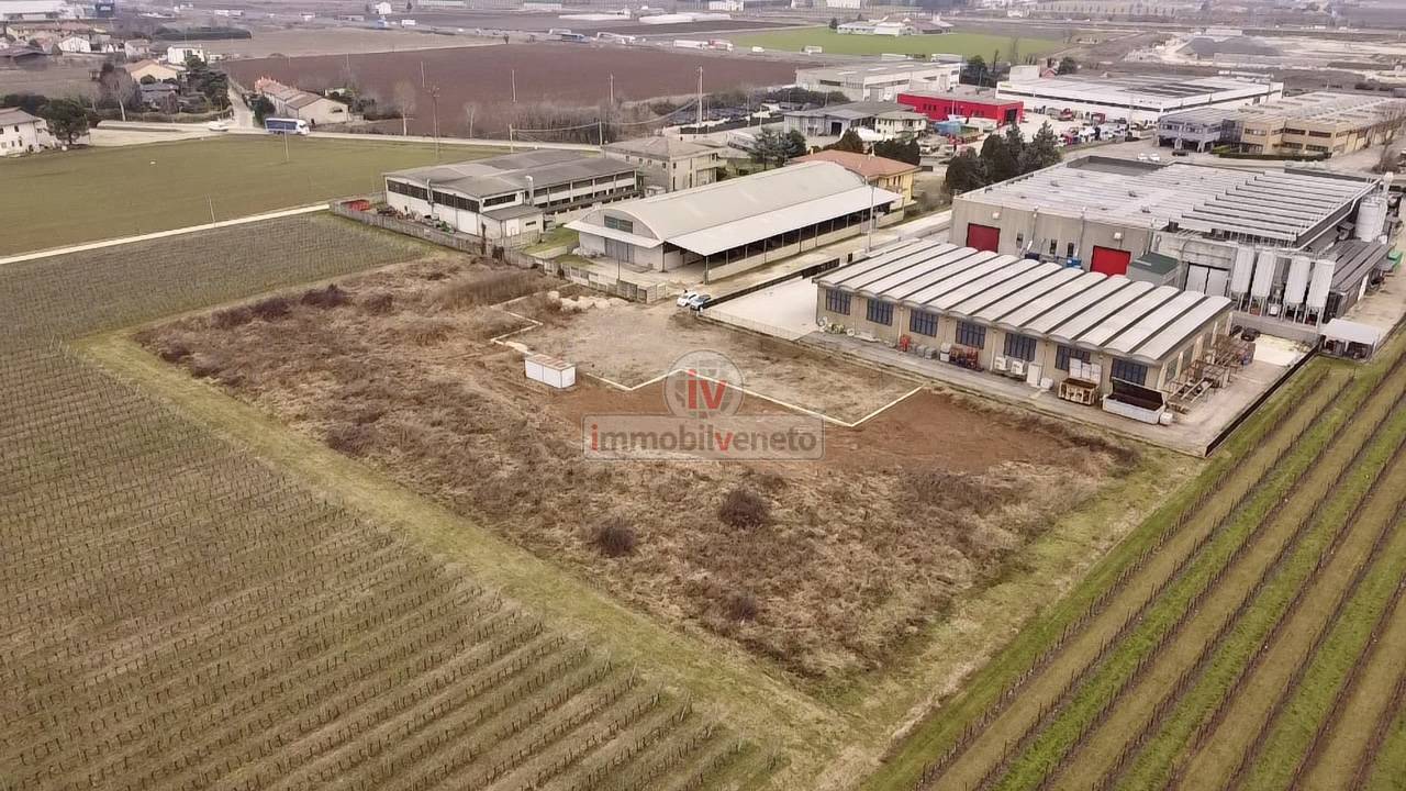 immagine annuncio 2 di 8