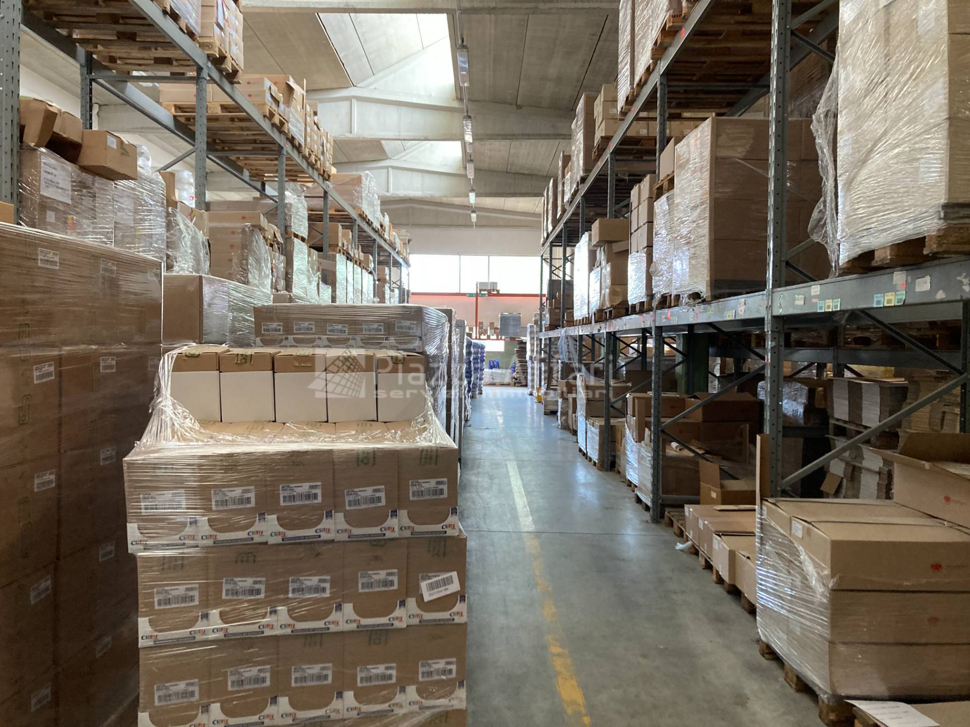 immagine annuncio 3 di 12