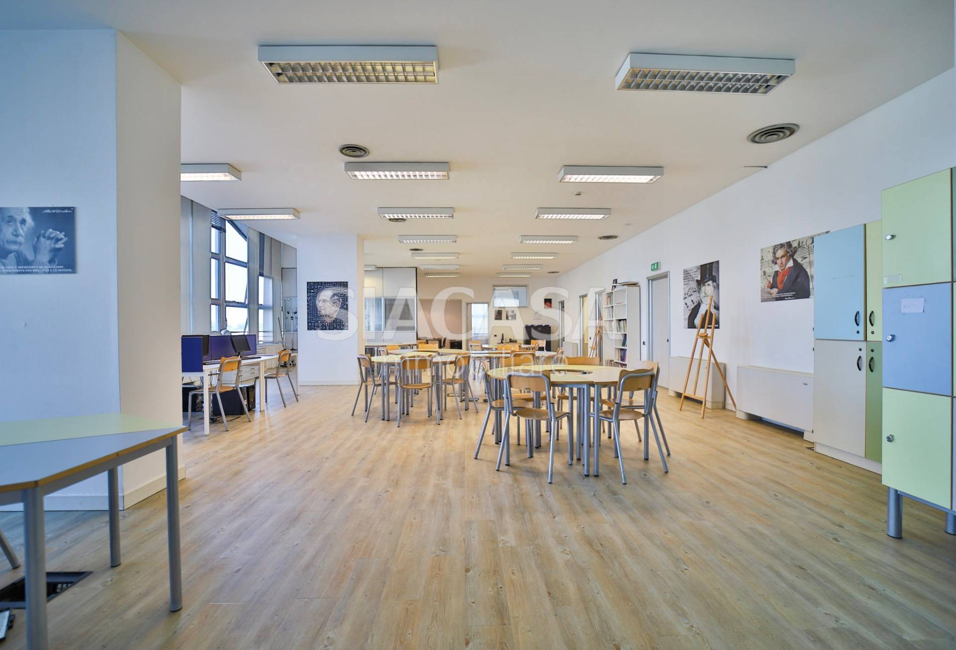 immagine annuncio 8 di 14