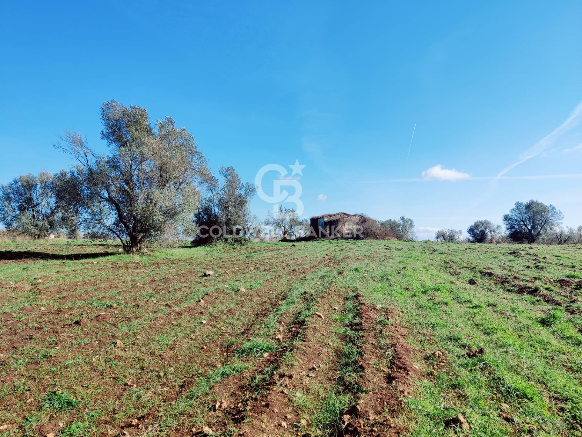 casa indipendente in vendita a Castro(BG)