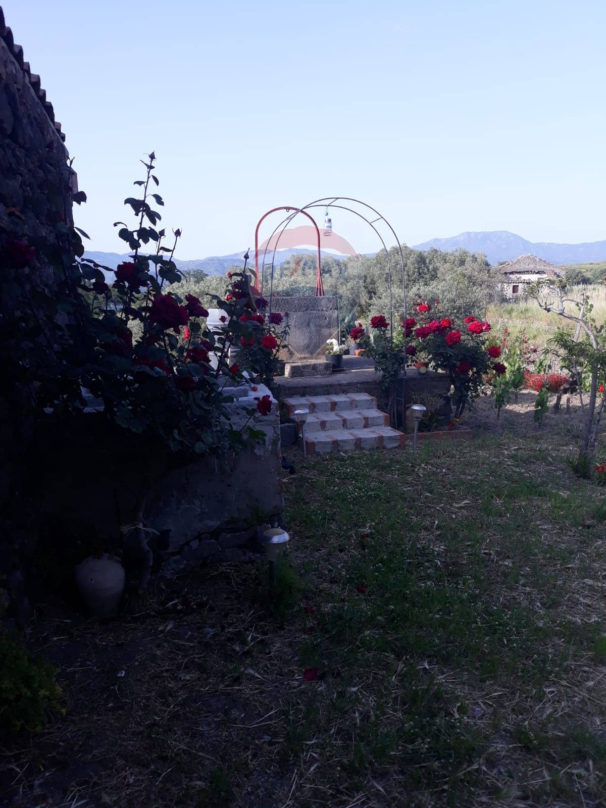 casa indipendente in vendita a Ravenna in zona Castiglione di Ravenna