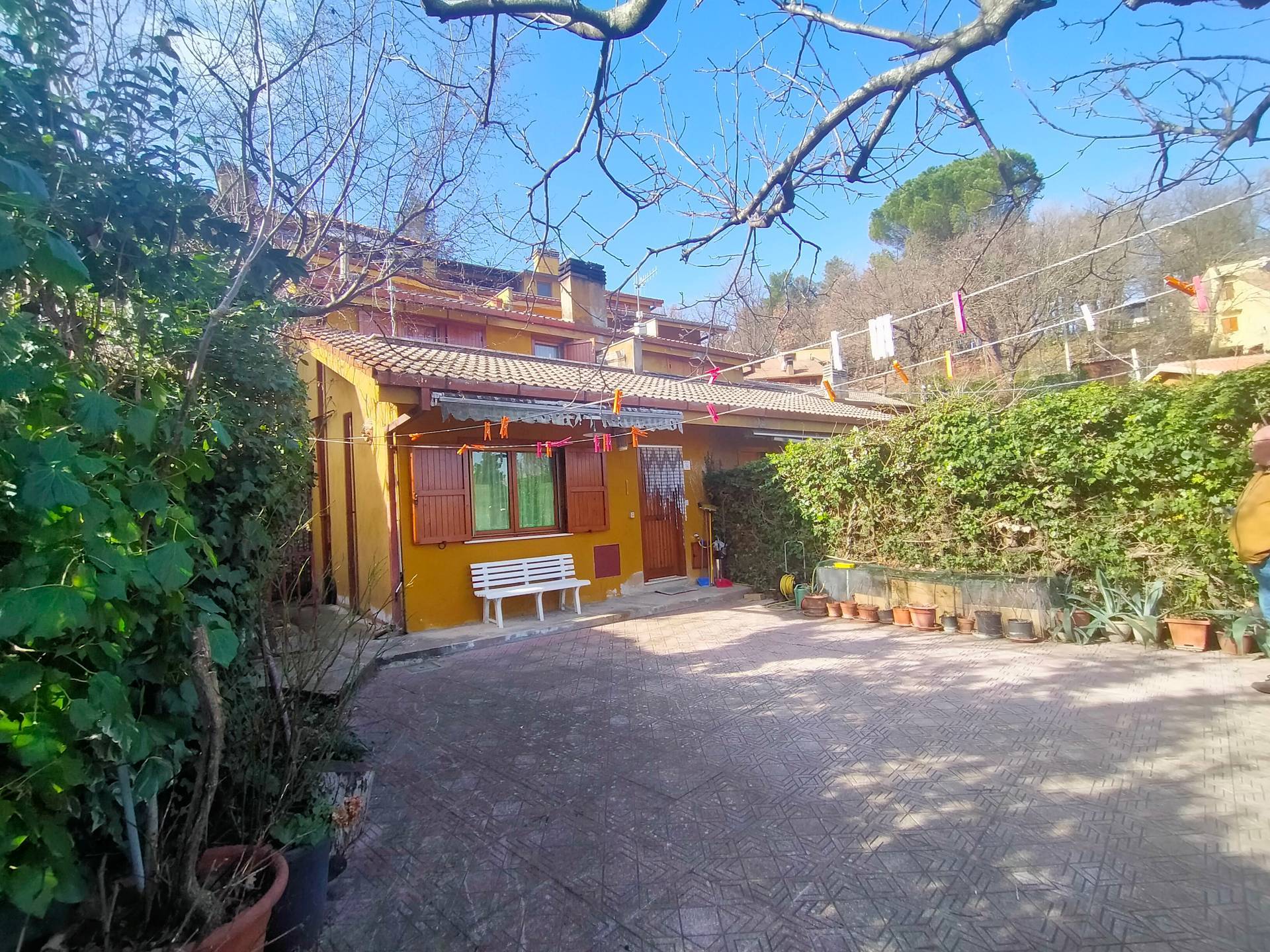 immagine annuncio 11 di 14
