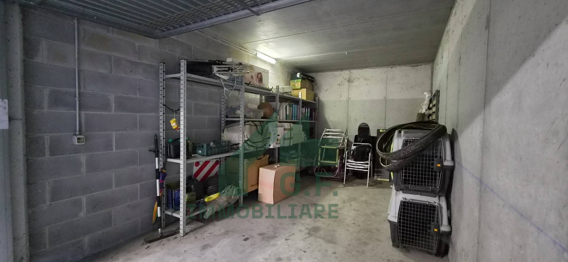 immagine annuncio 12 di 14