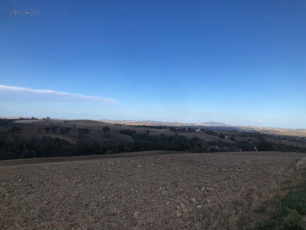terreno agricolo in vendita a Treia
