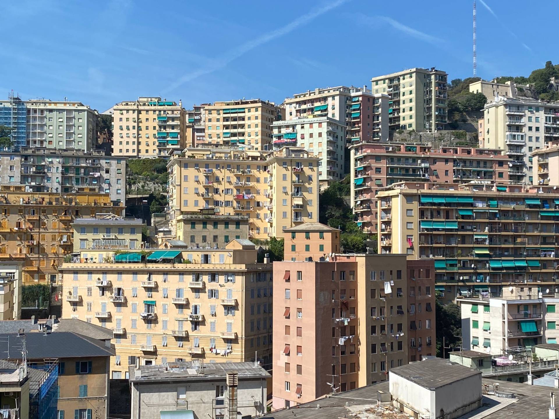 appartamento in affitto a Genova in zona Centro Storico