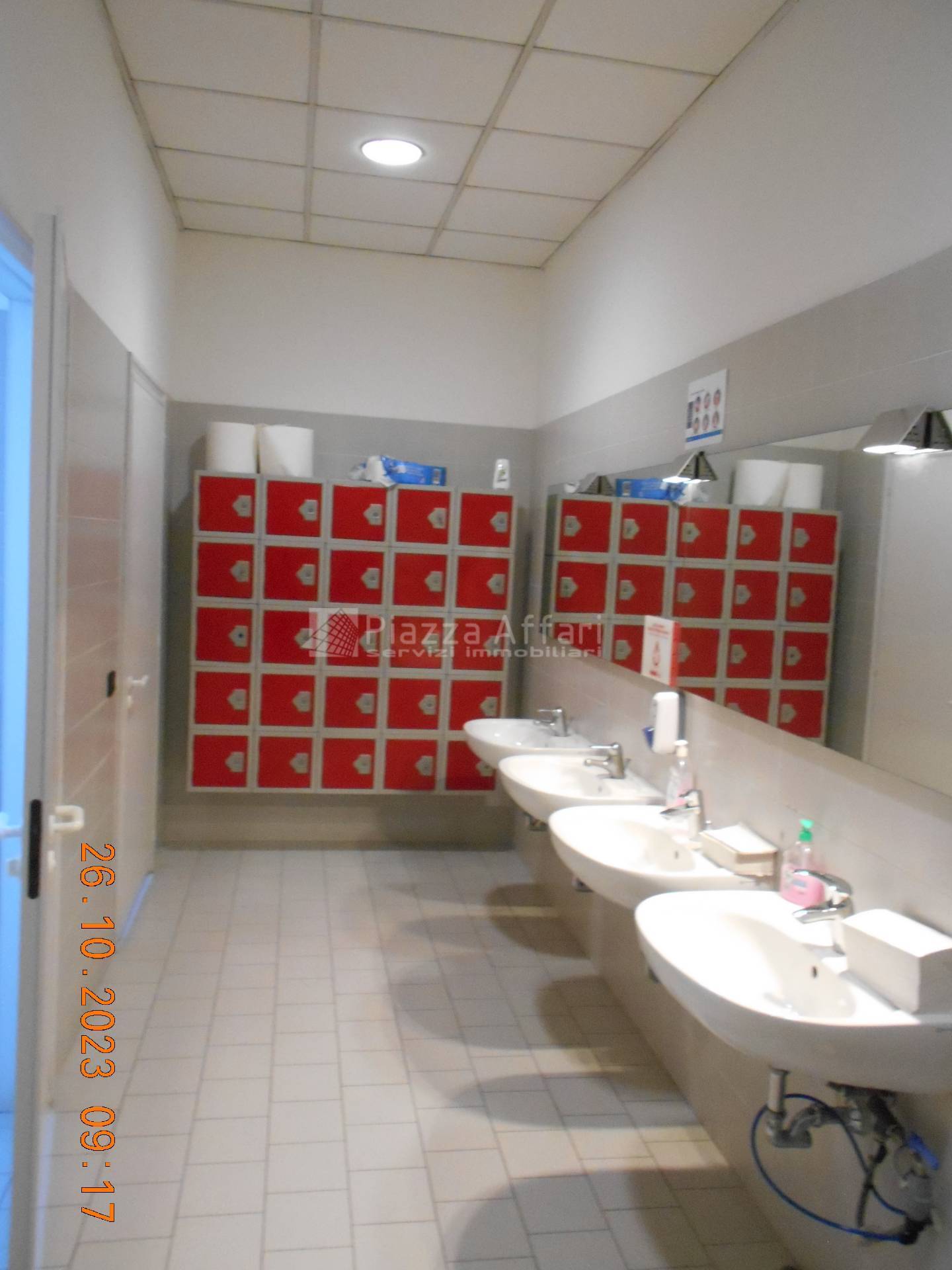 immagine annuncio 9 di 14