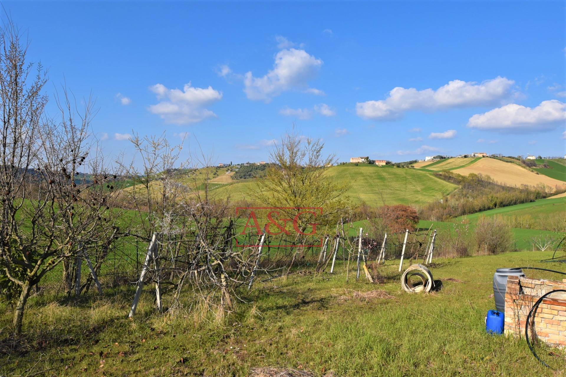 immagine annuncio 11 di 15