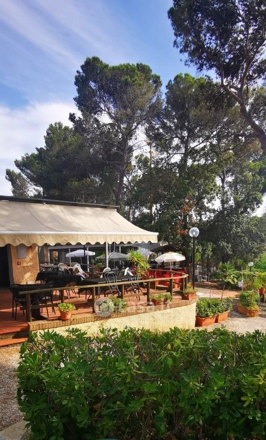 appartamento in affitto a Rosignano Marittimo in zona Castiglioncello
