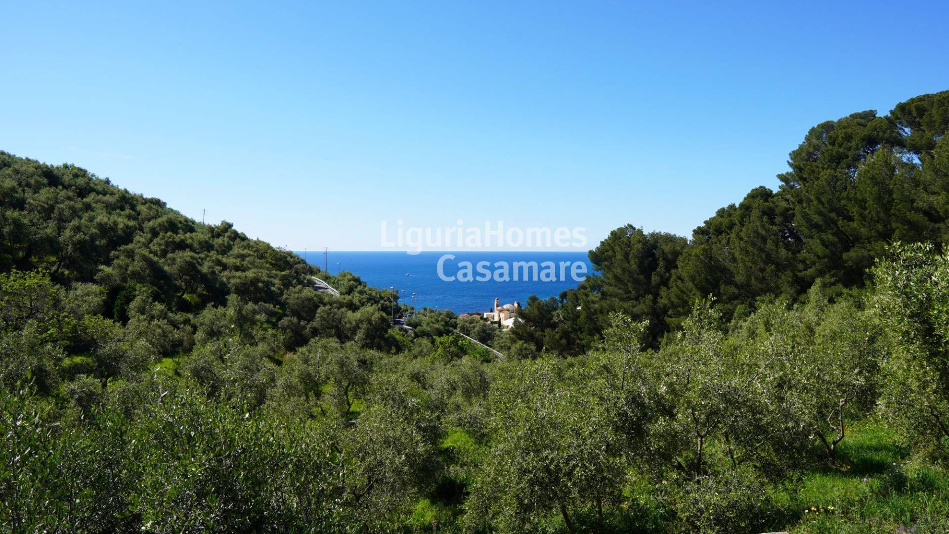 immagine annuncio 4 di 9