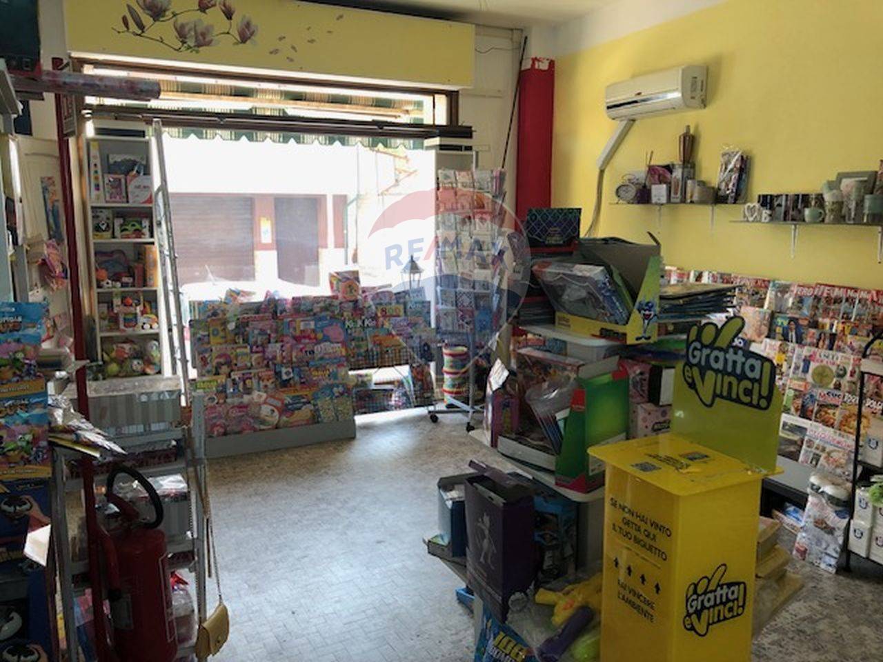 immagine annuncio 3 di 14