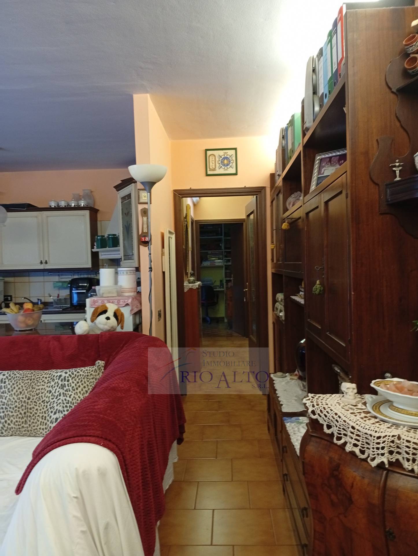 immagine annuncio 4 di 12