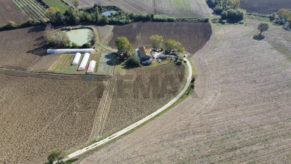 immagine annuncio 8 di 13