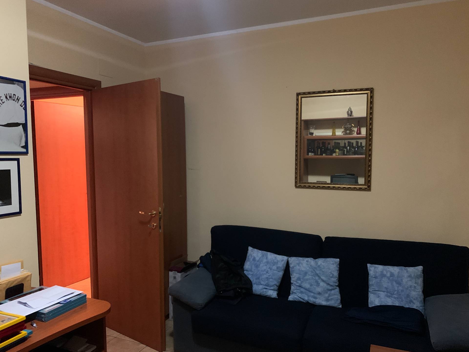 immagine annuncio 3 di 12