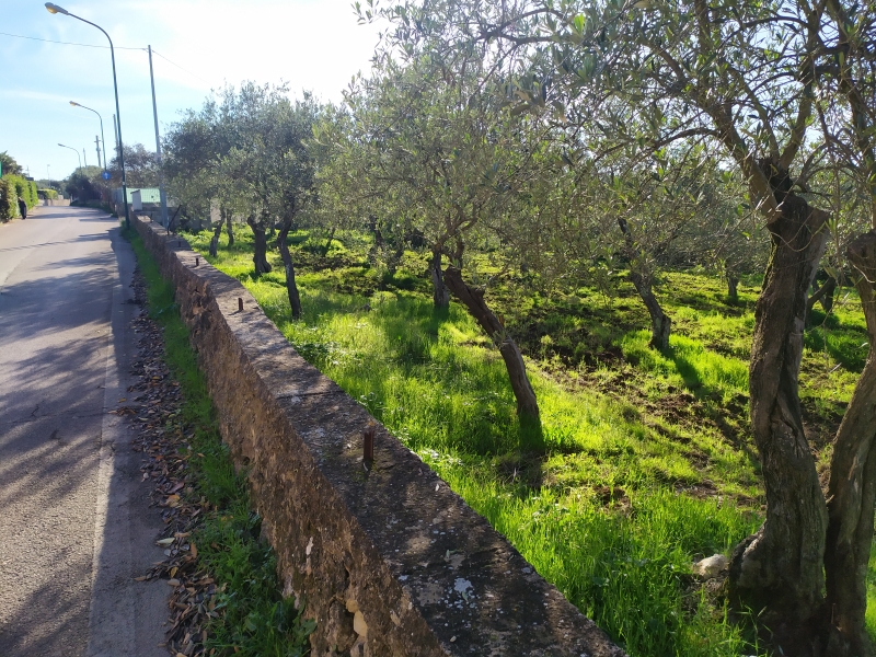 immagine annuncio 4 di 5