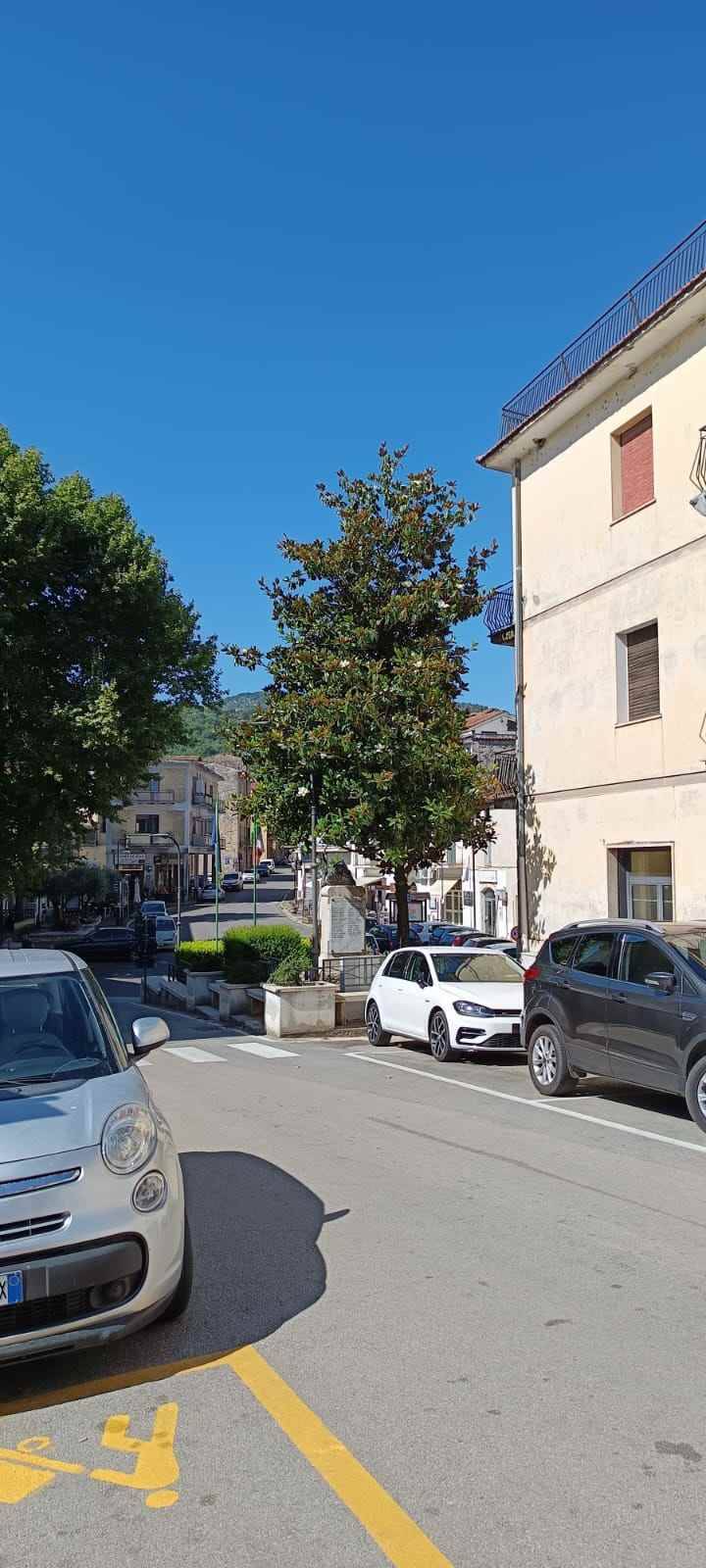 immagine annuncio 4 di 7