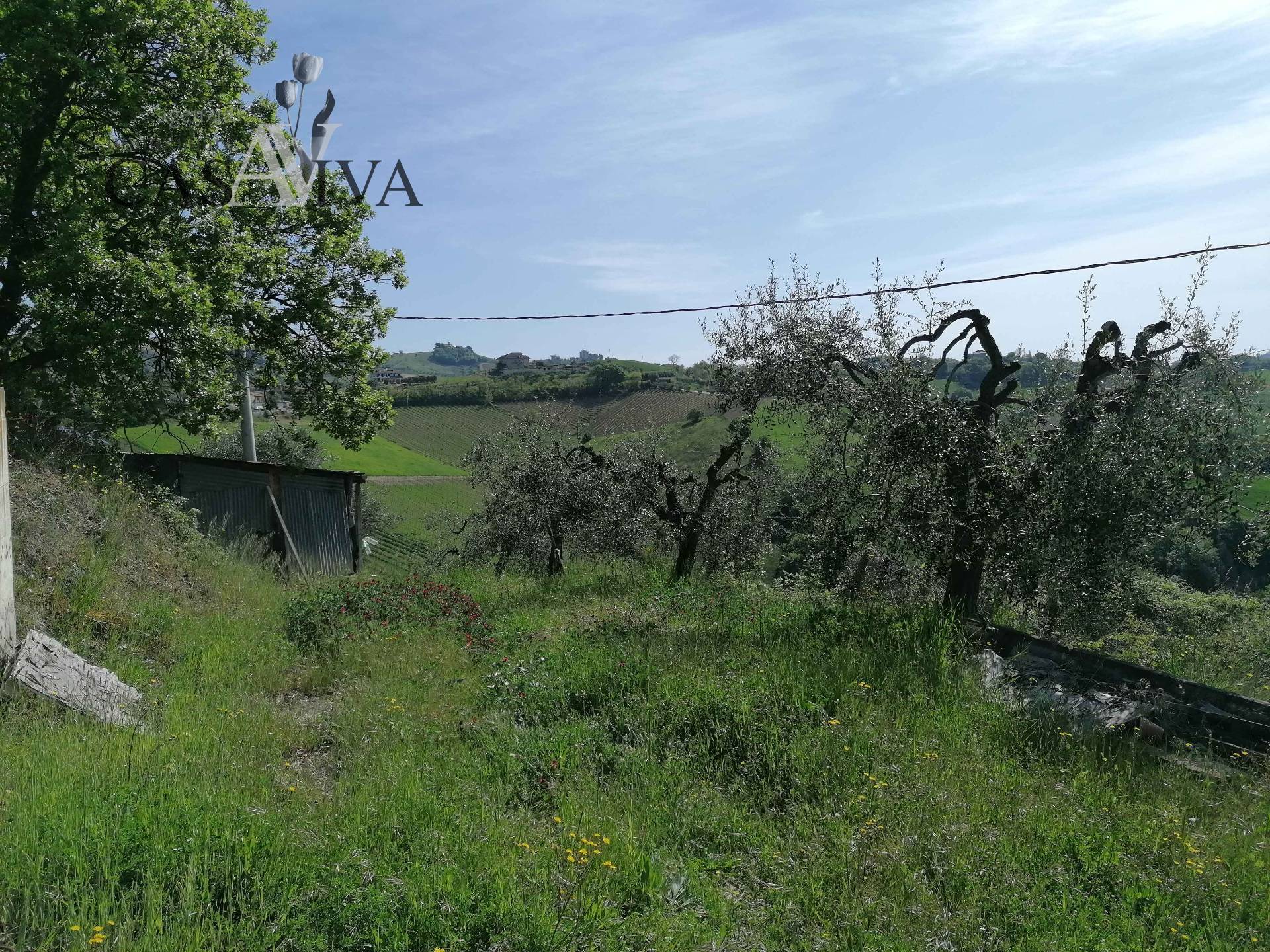 immagine annuncio 12 di 15