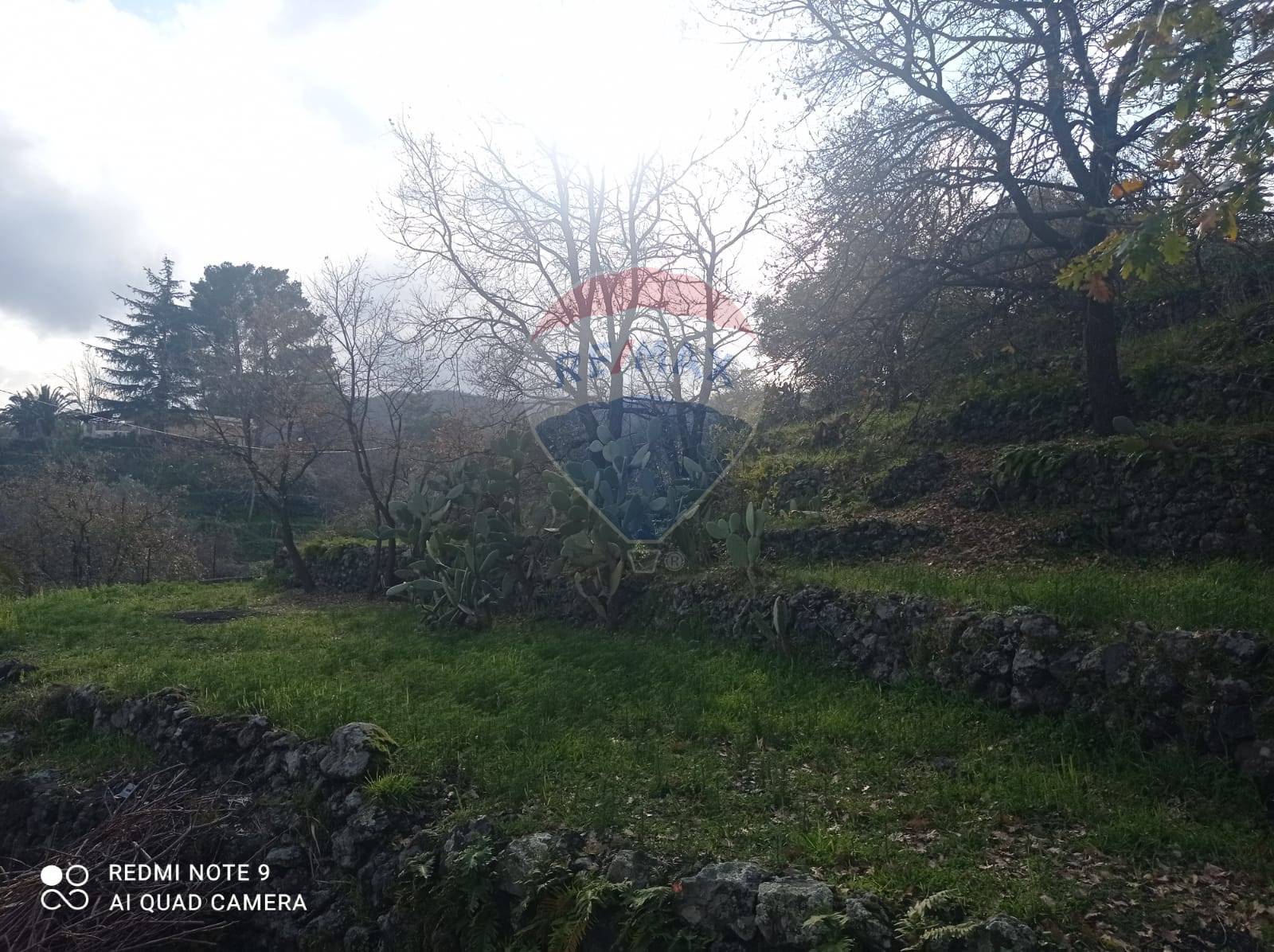 casa indipendente in vendita a Piedimonte Etneo