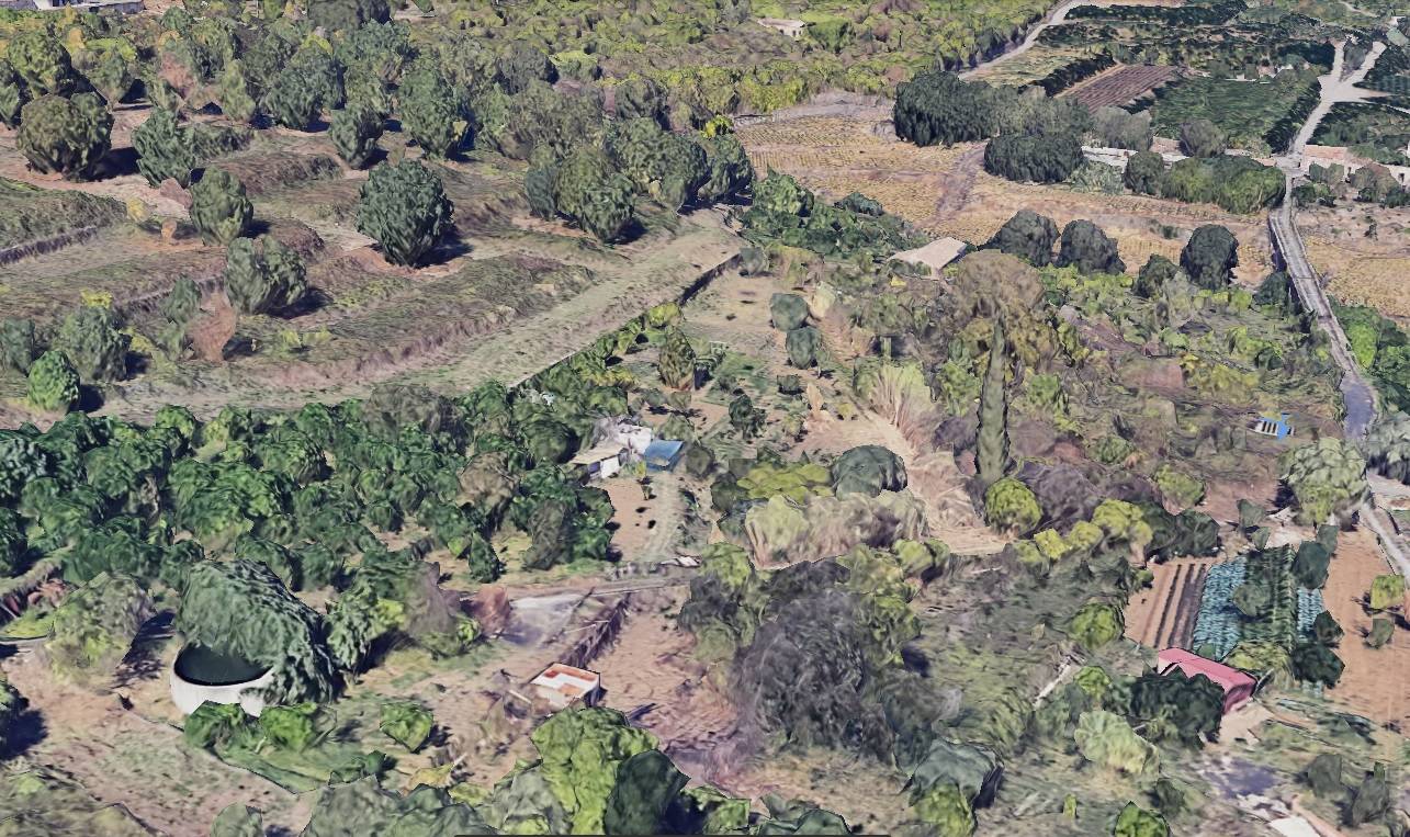 immagine annuncio 12 di 14