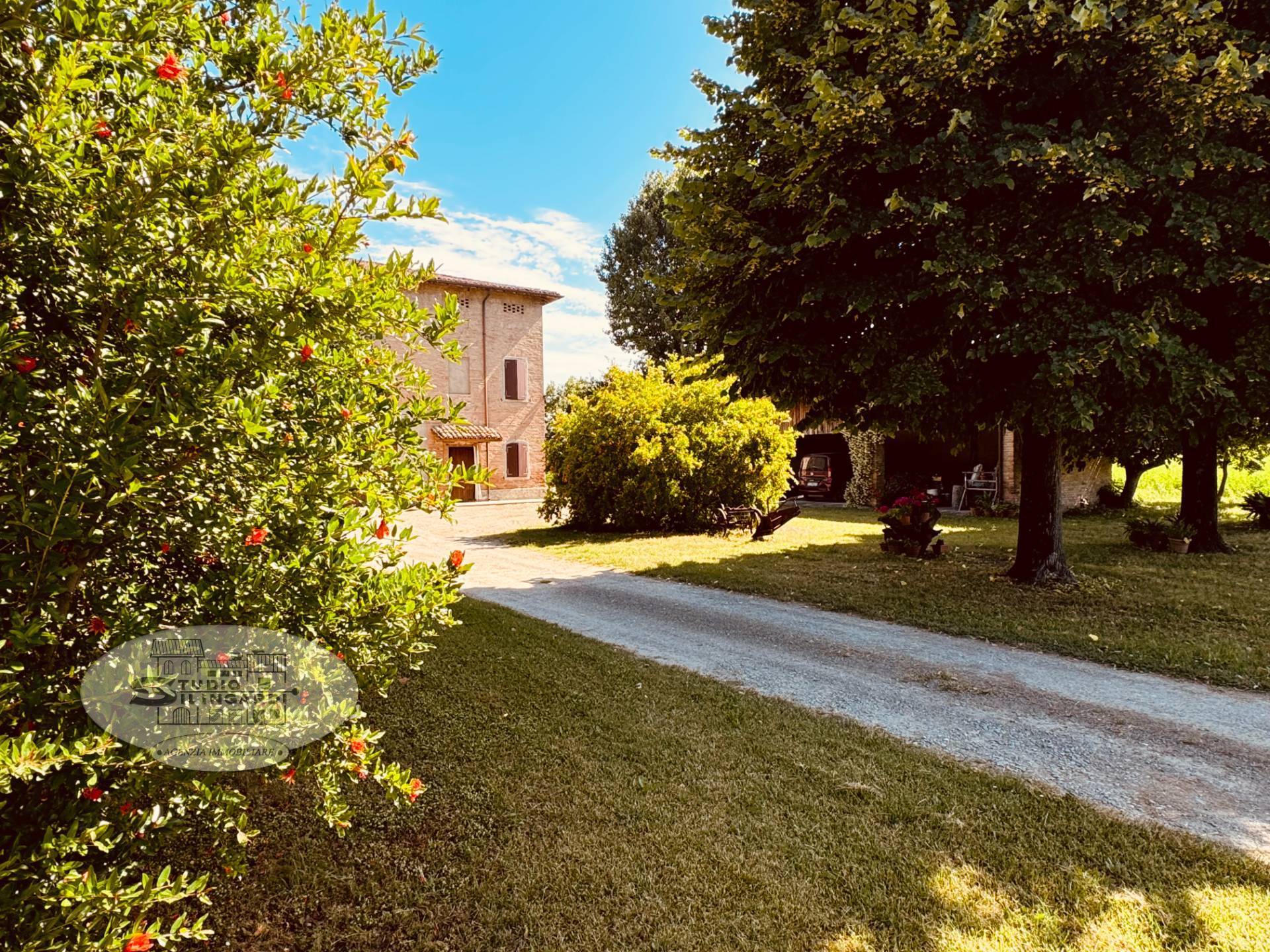 immagine annuncio 8 di 12