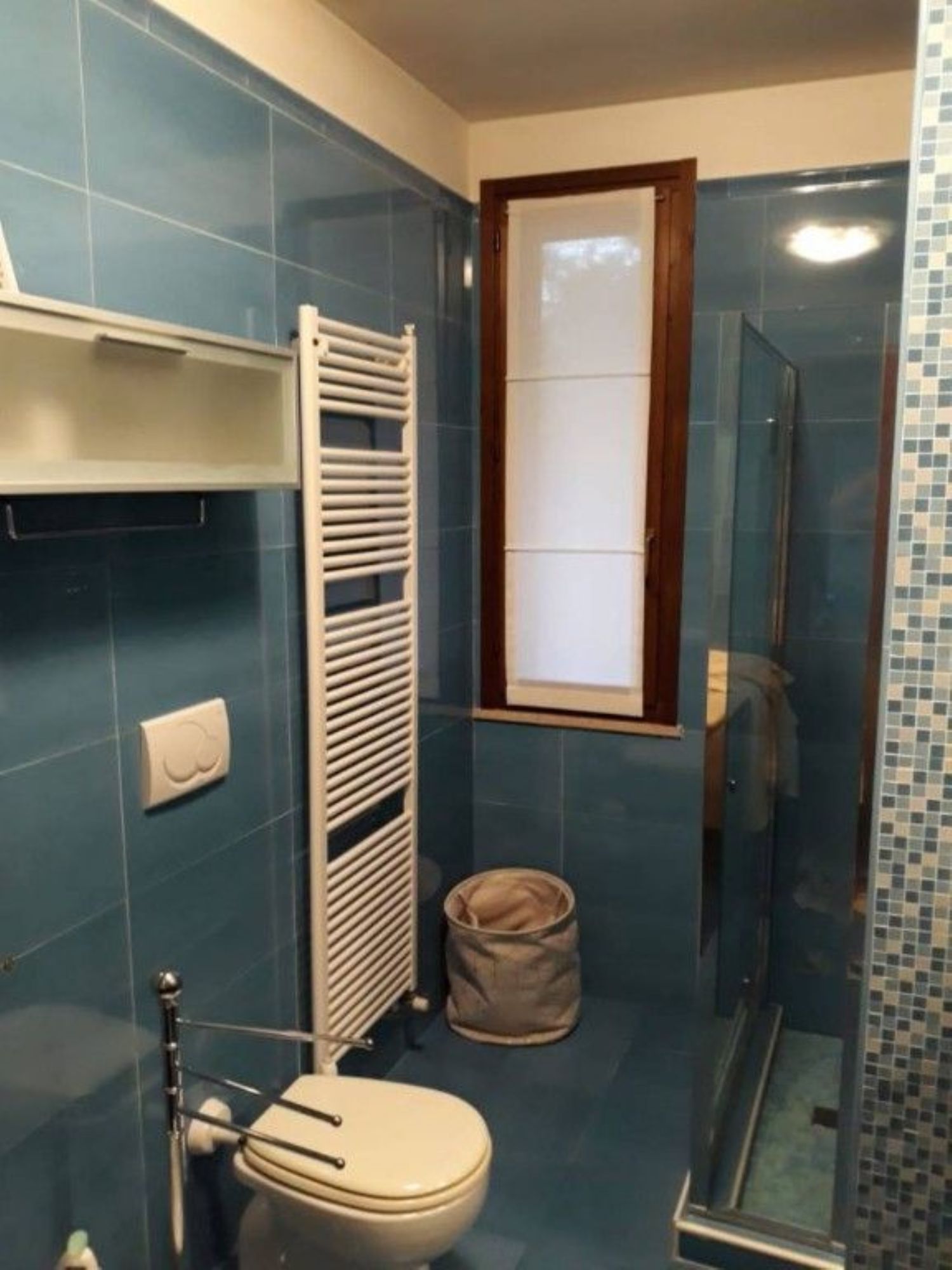 immagine annuncio 9 di 12