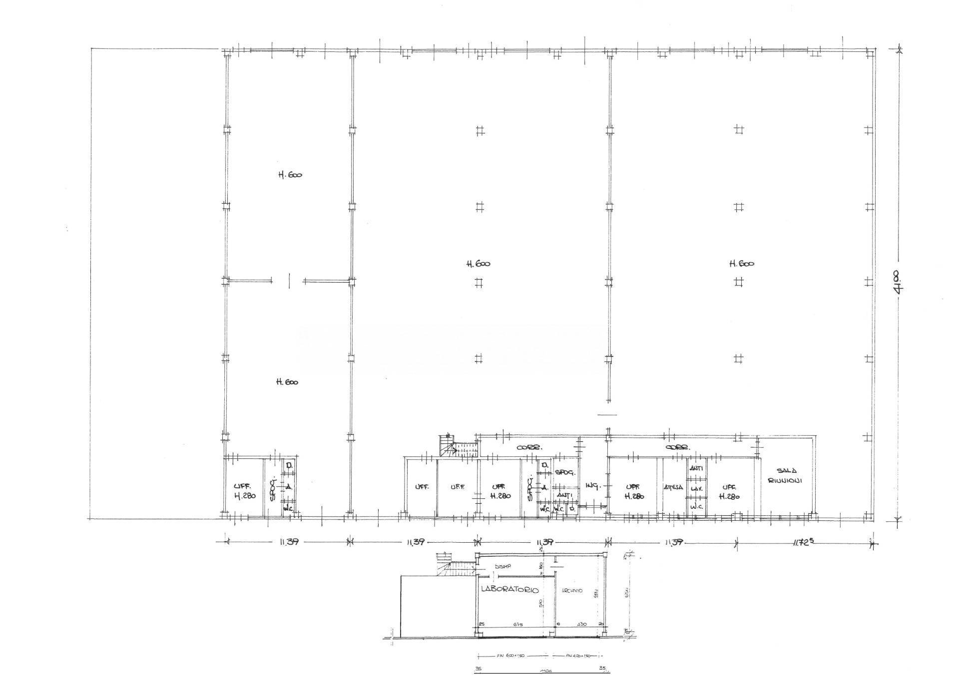 immagine annuncio 11 di 12