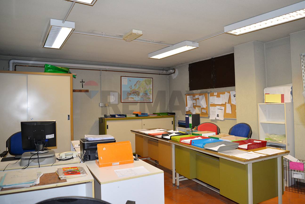 immagine annuncio 5 di 6