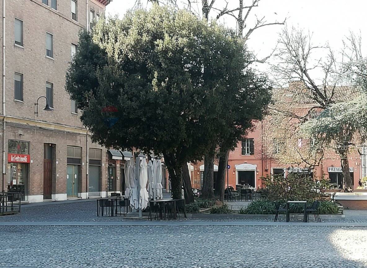 immagine annuncio 3 di 9