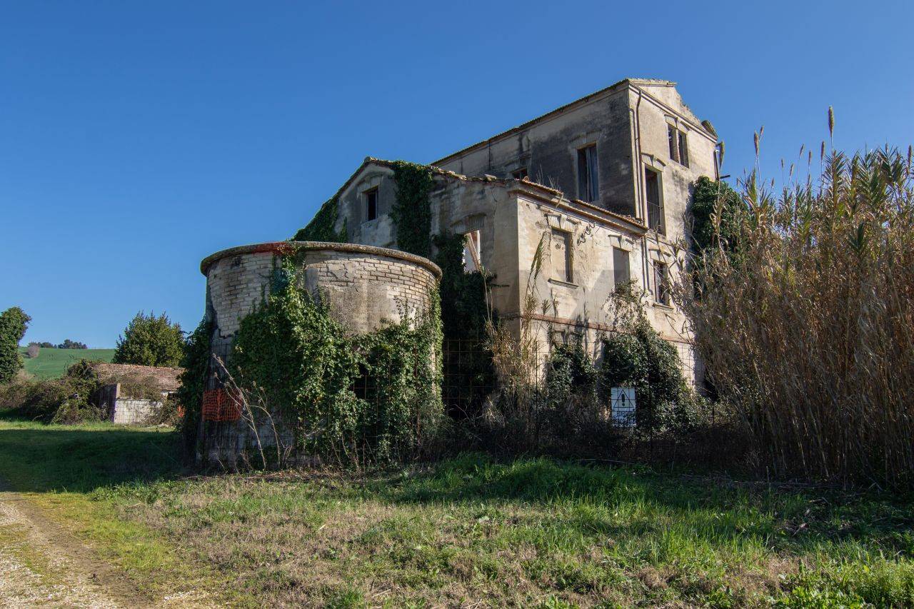 immagine annuncio 5 di 12