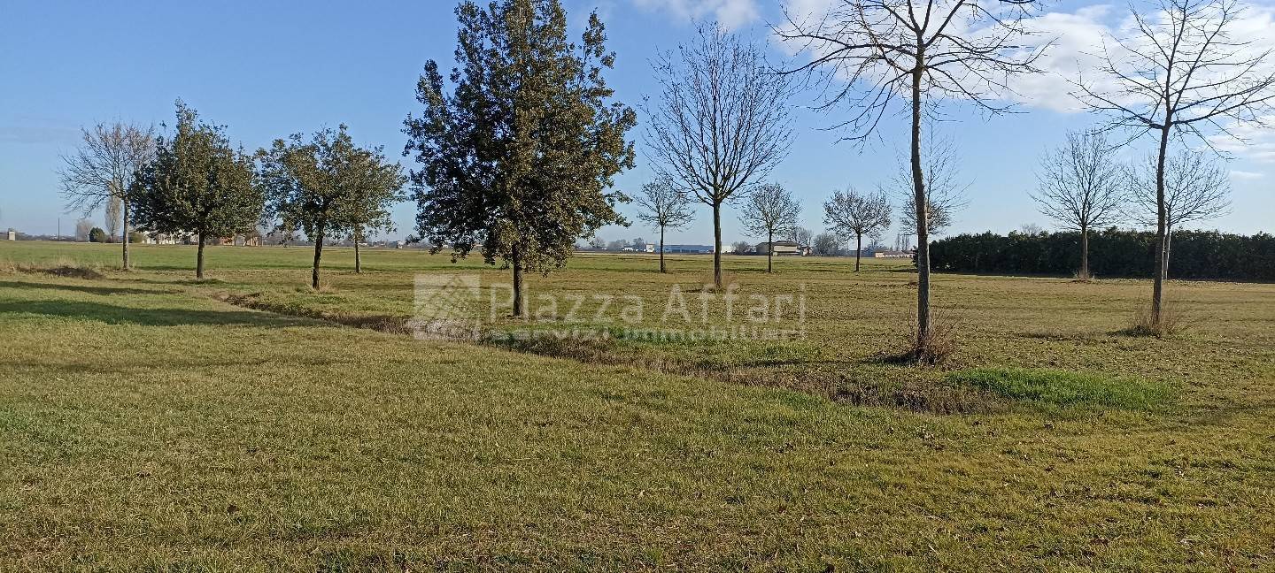 immagine annuncio 2 di 12