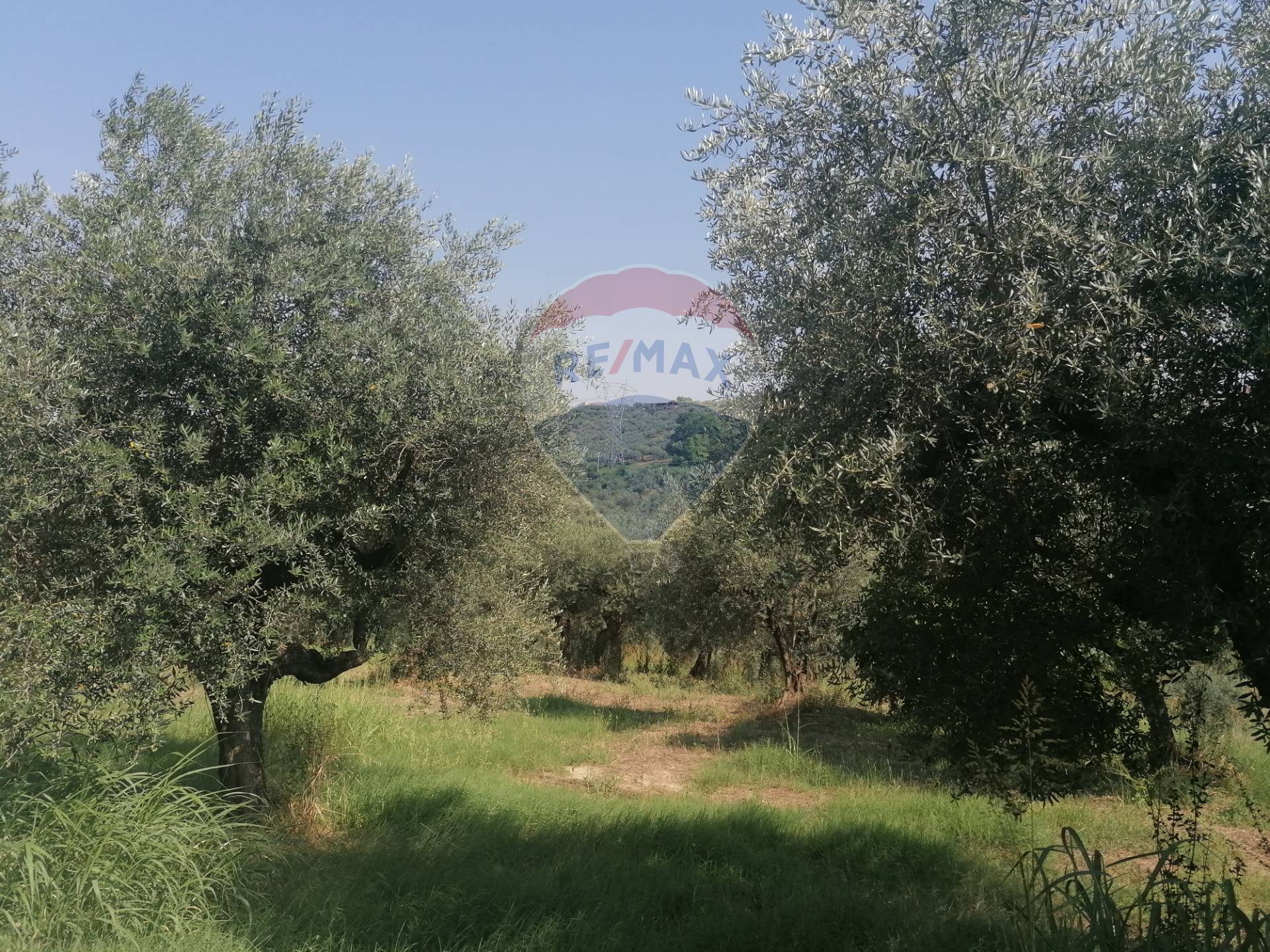 terreno edificabile in vendita a Moscufo