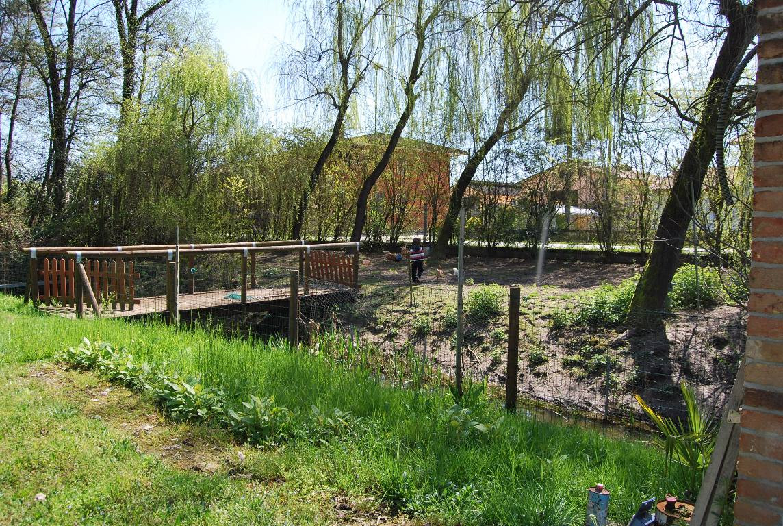 immagine annuncio 7 di 9