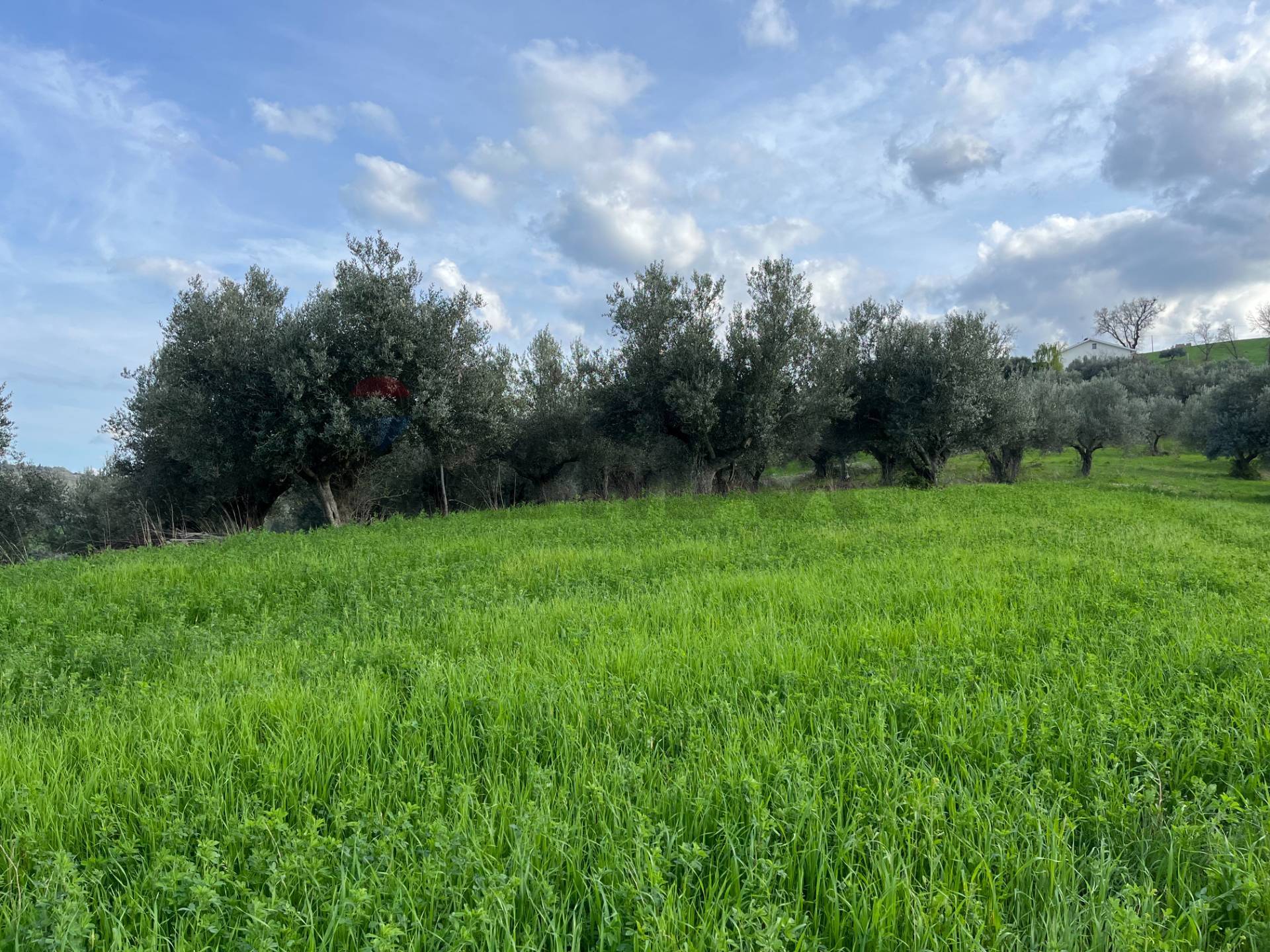 terreno edificabile in vendita a Manoppello