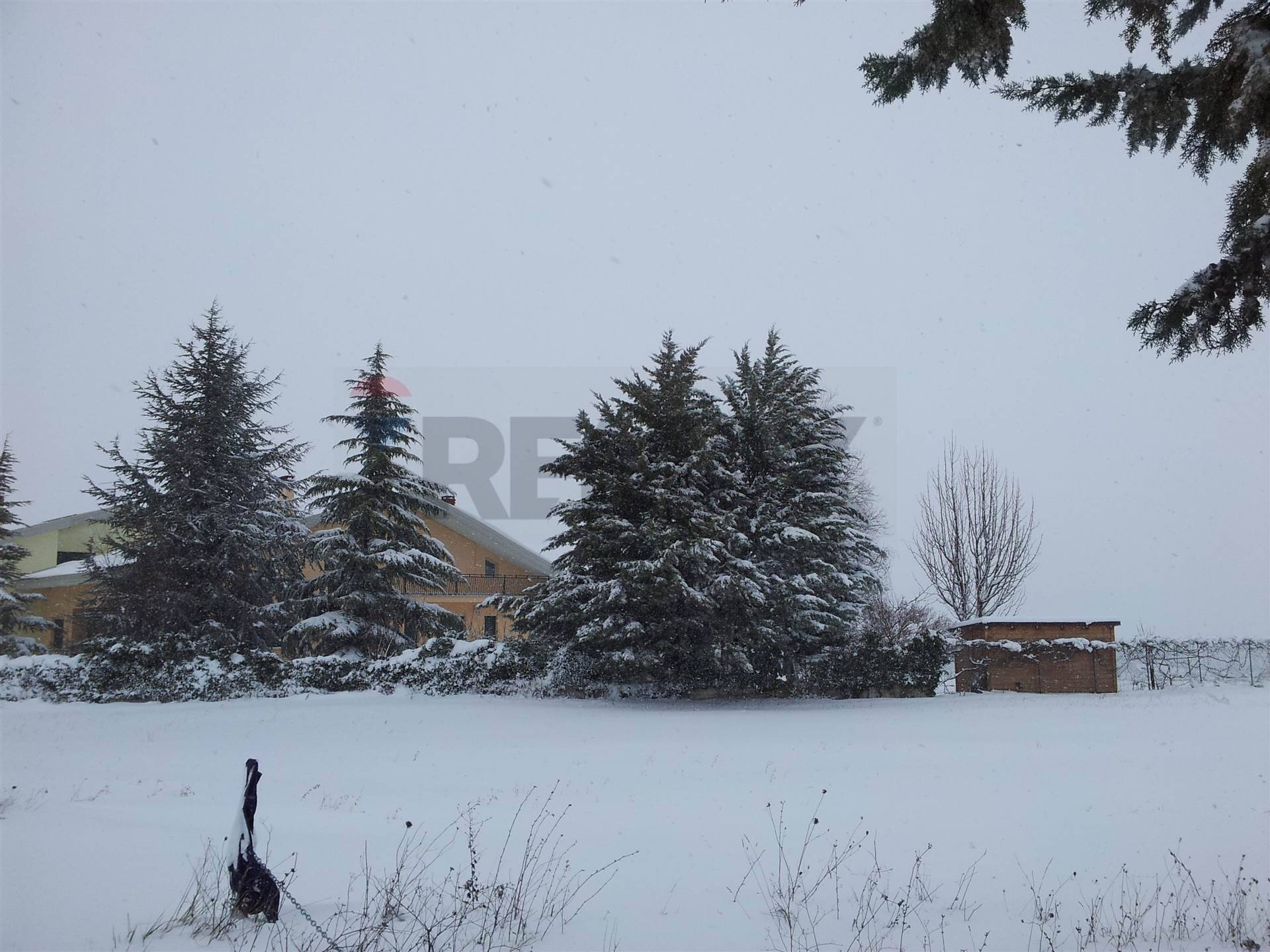 casa indipendente in vendita a Torricella