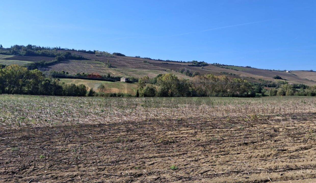 immagine annuncio 6 di 13