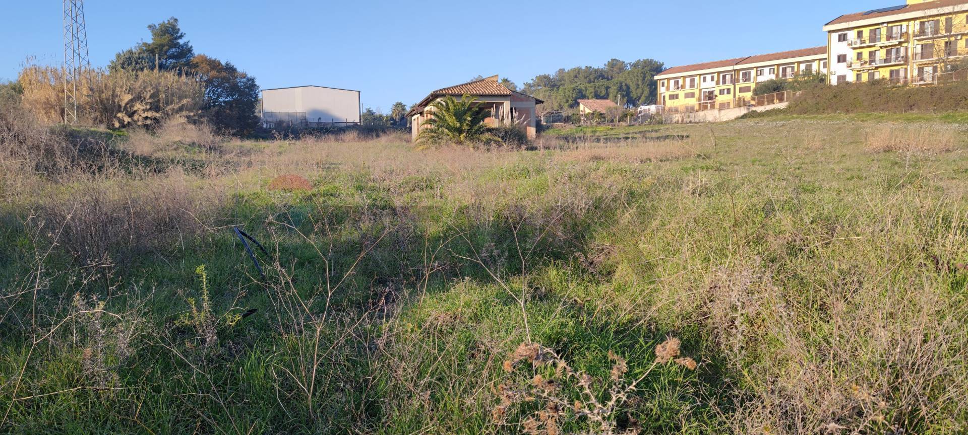 immagine annuncio 2 di 11