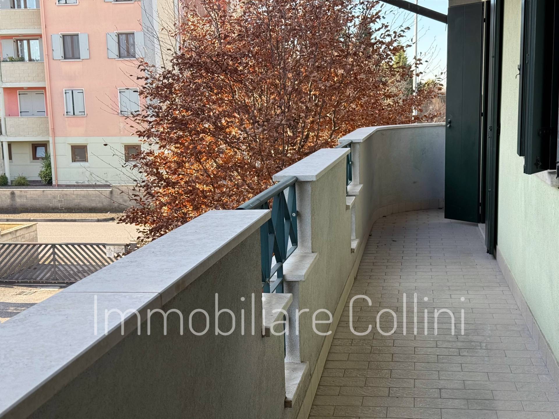 immagine annuncio 3 di 14