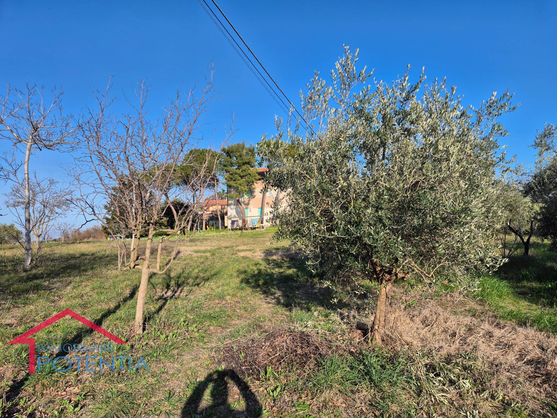 terreno agricolo in vendita a Potenza Picena