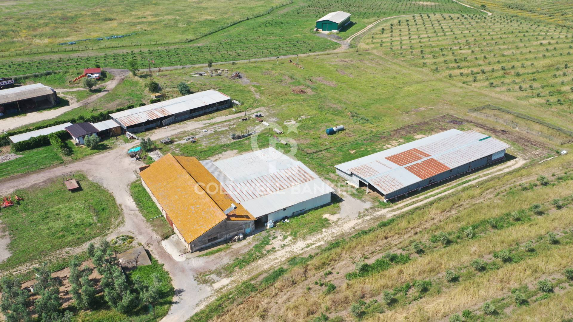 locale di sgombero in vendita a Castro(LE)