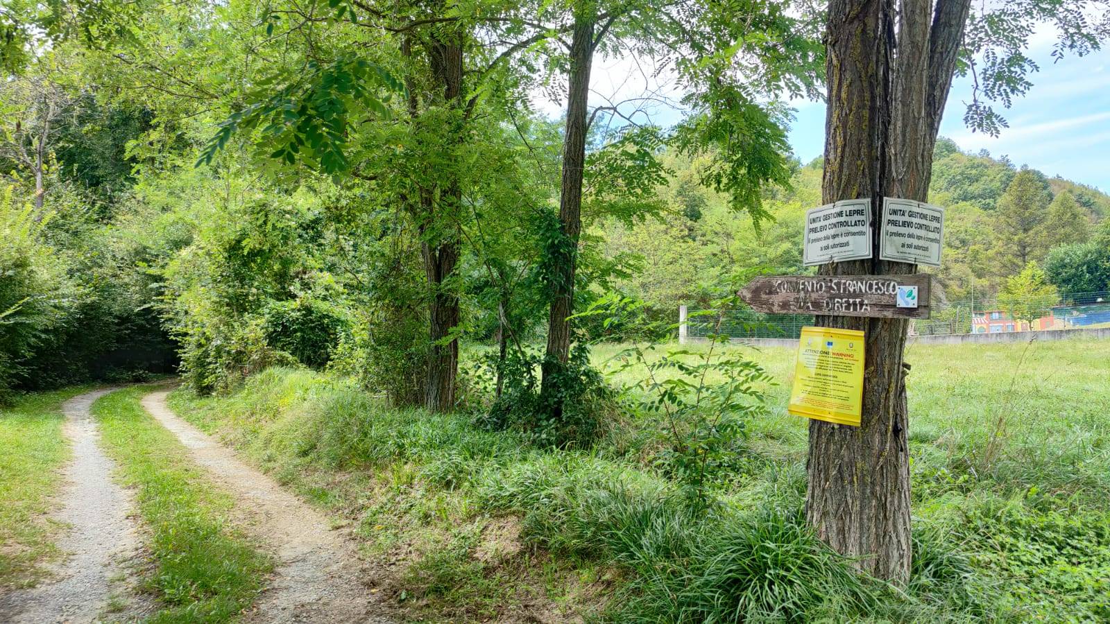 immagine annuncio 13 di 14