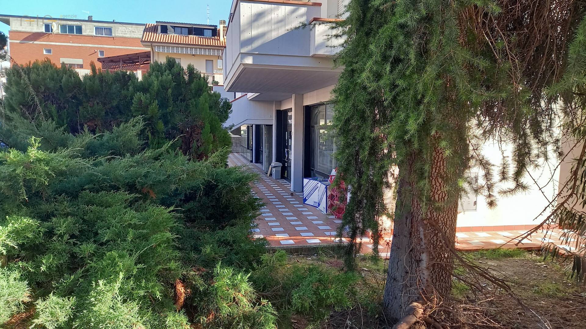 immagine annuncio 3 di 14