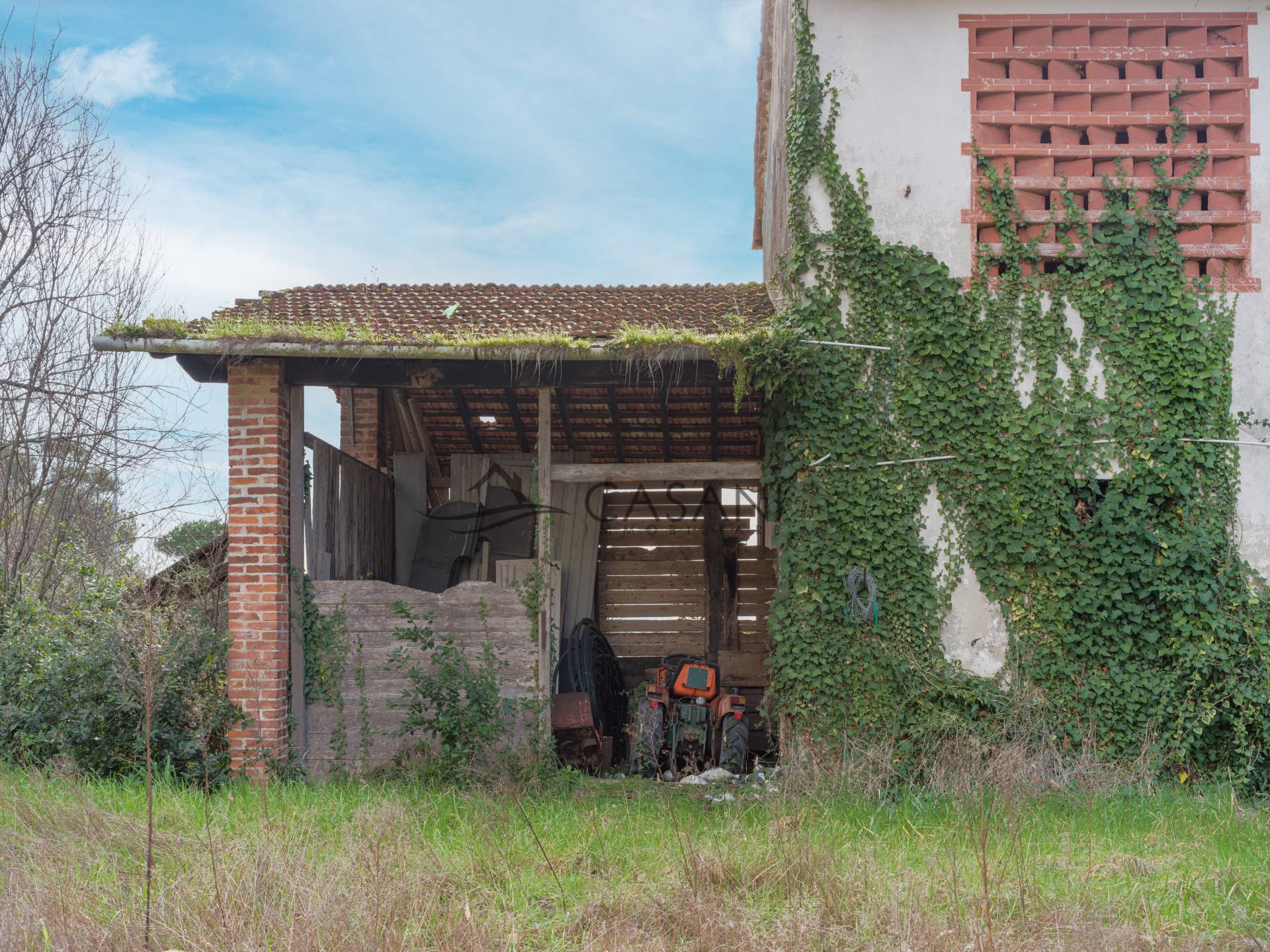 immagine annuncio 12 di 15