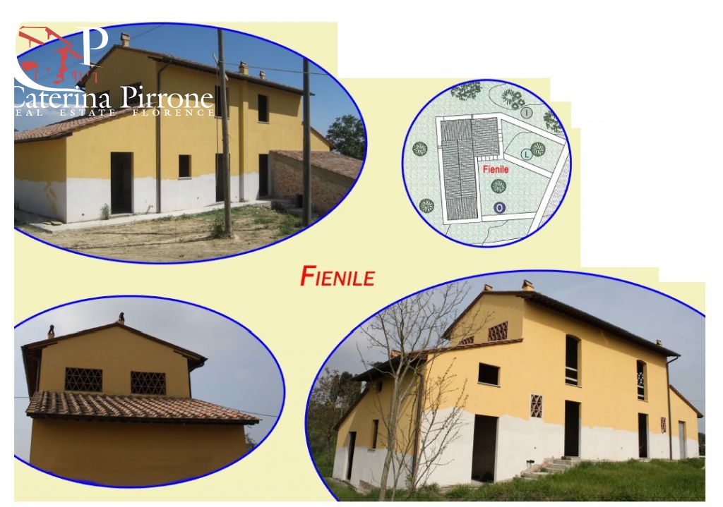 immagine annuncio 3 di 8