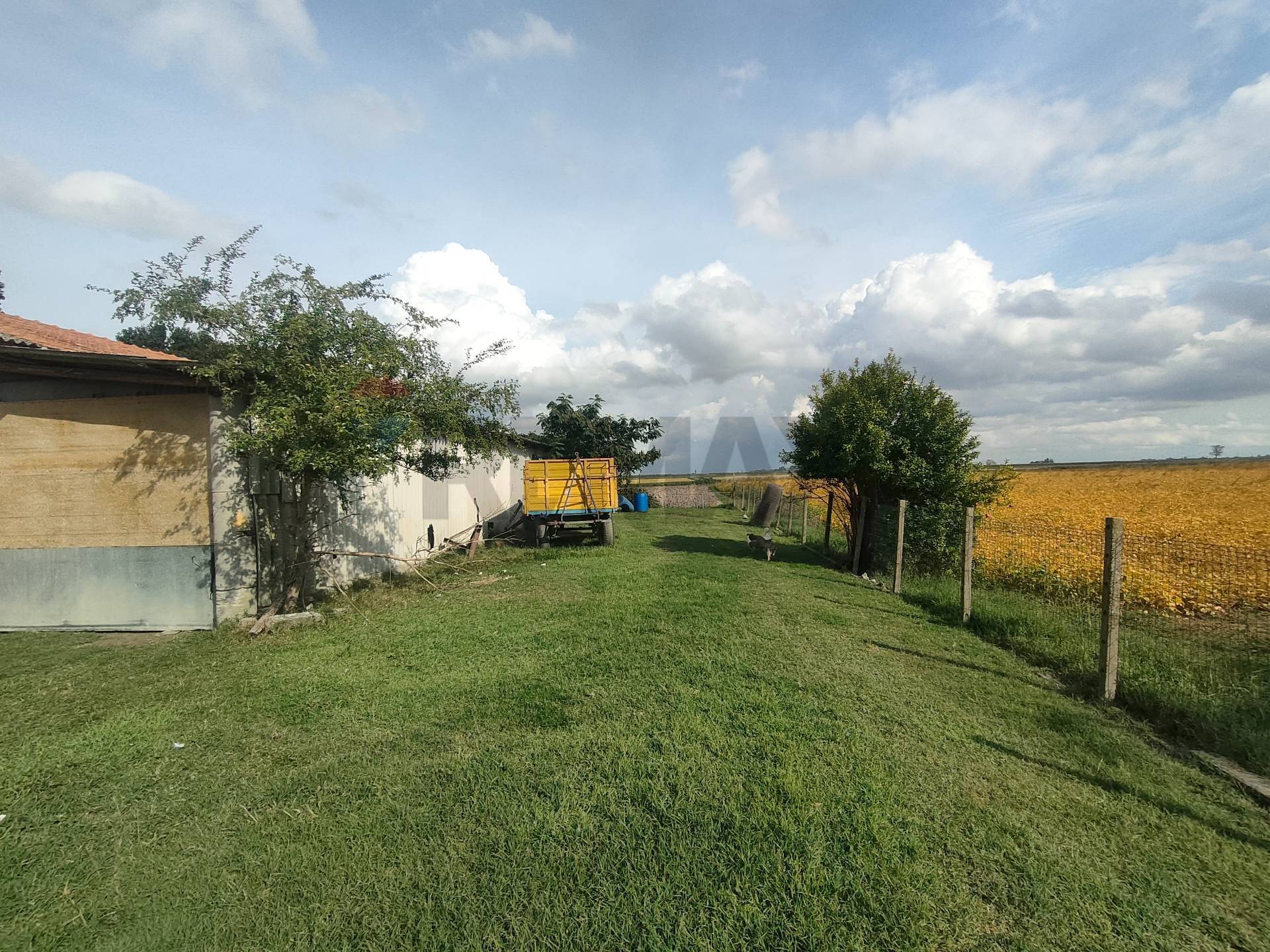 immagine annuncio 5 di 12