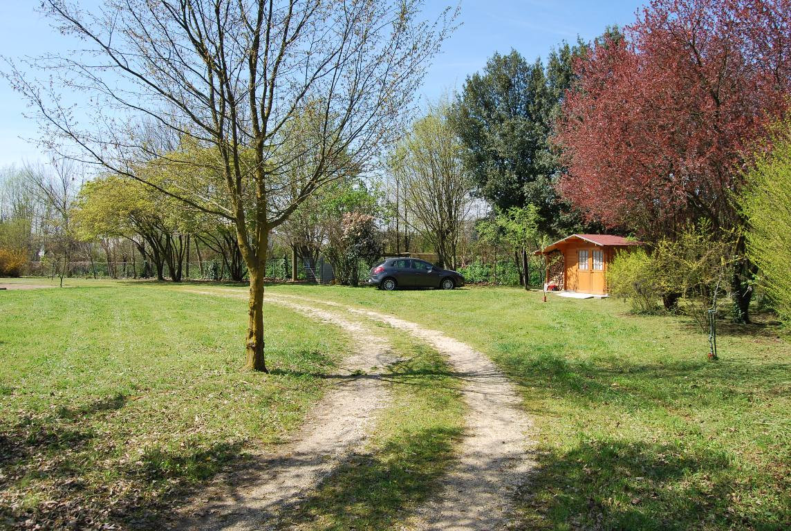 immagine annuncio 6 di 9